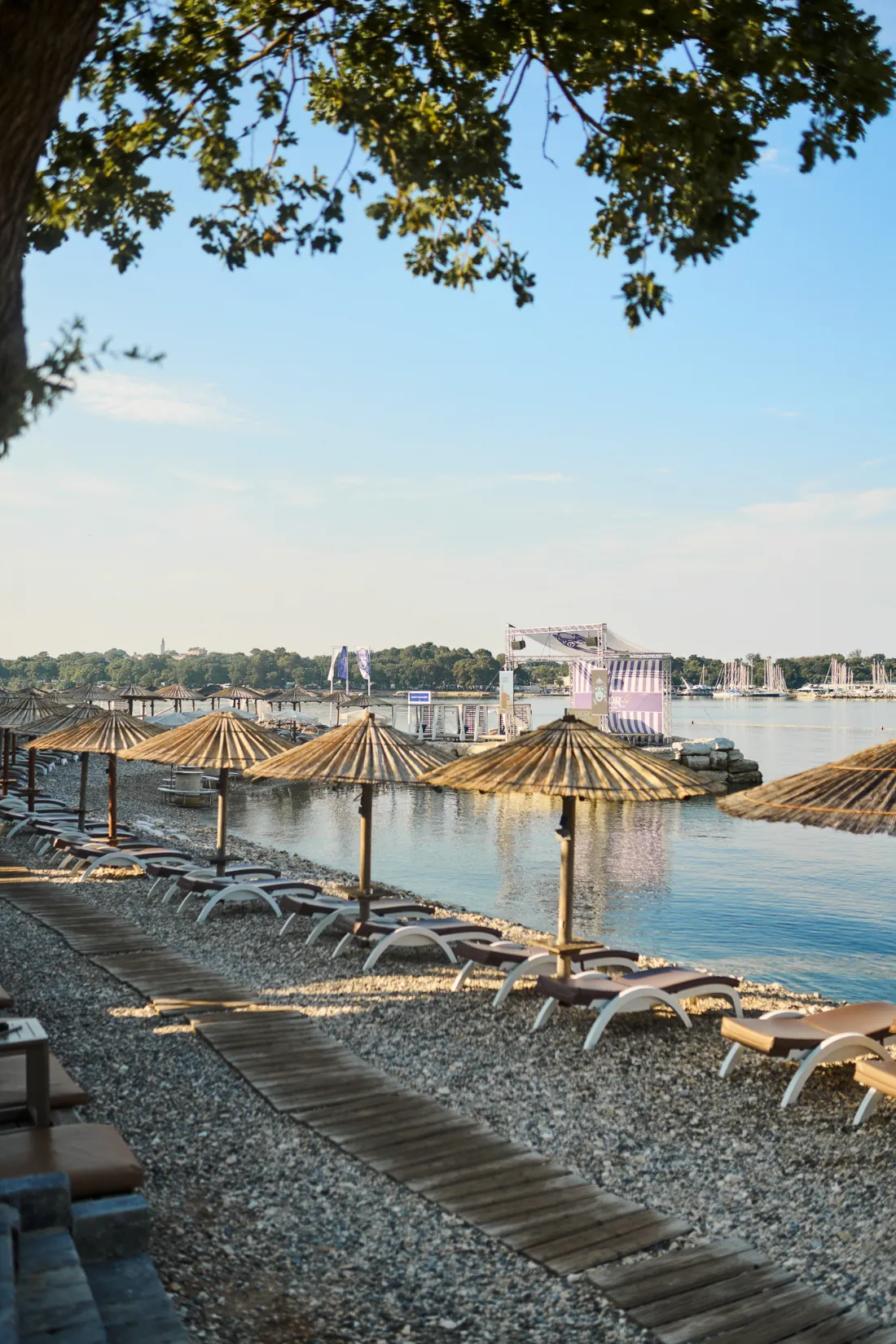 Classic Sunbeds at D'Or Beach Club Funtana